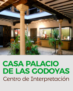 Casa-palacio-de-las-godoyas