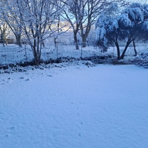 20230125_091252